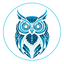 Wise Kids Studios owl logo